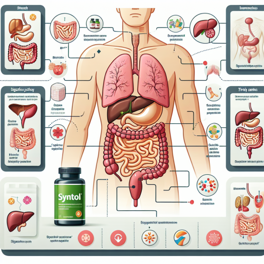 Cómo mantener el sistema digestivo sano con Syntol