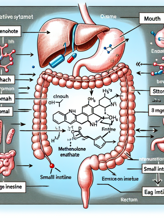 Cómo afecta Enantato de metenolona al sistema digestivo